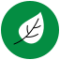 icons8-leaf-64